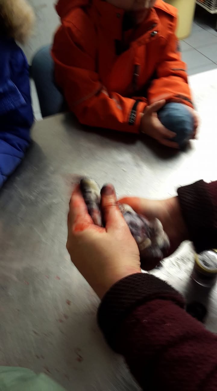 Activités d'Automne-Hiver 2016