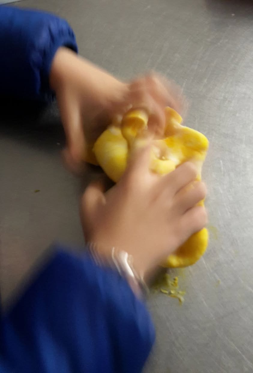 Activités d'Automne-Hiver 2016