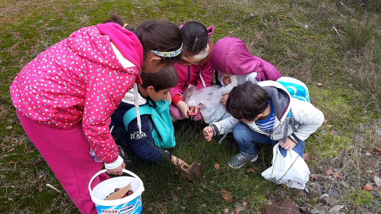 Activités d'Automne-Hiver 2016