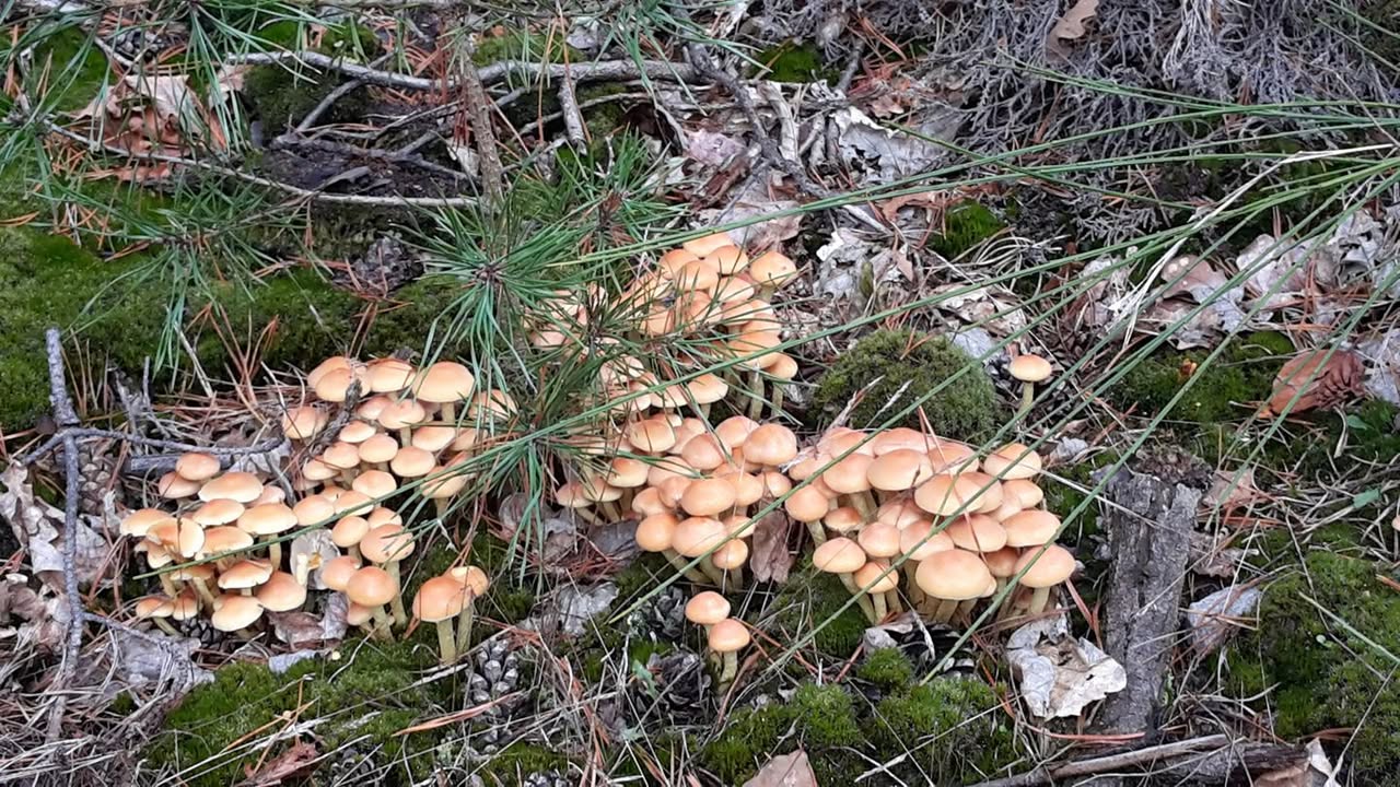 Activités d'Automne-Hiver 2016