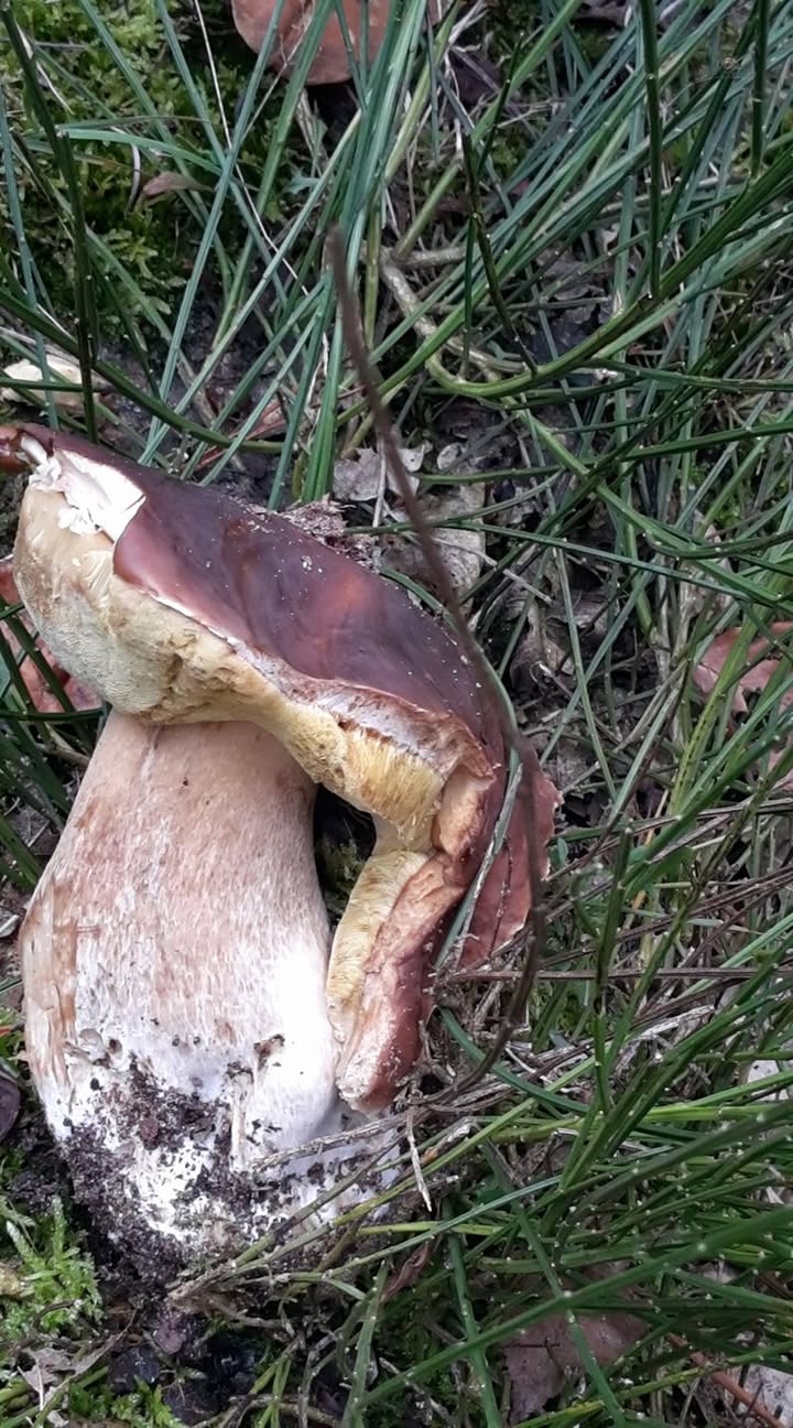 Activités d'Automne-Hiver 2016