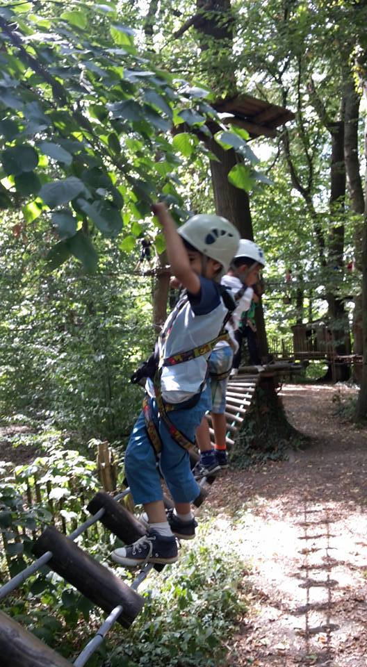 Activités & Sorties — Début 2016