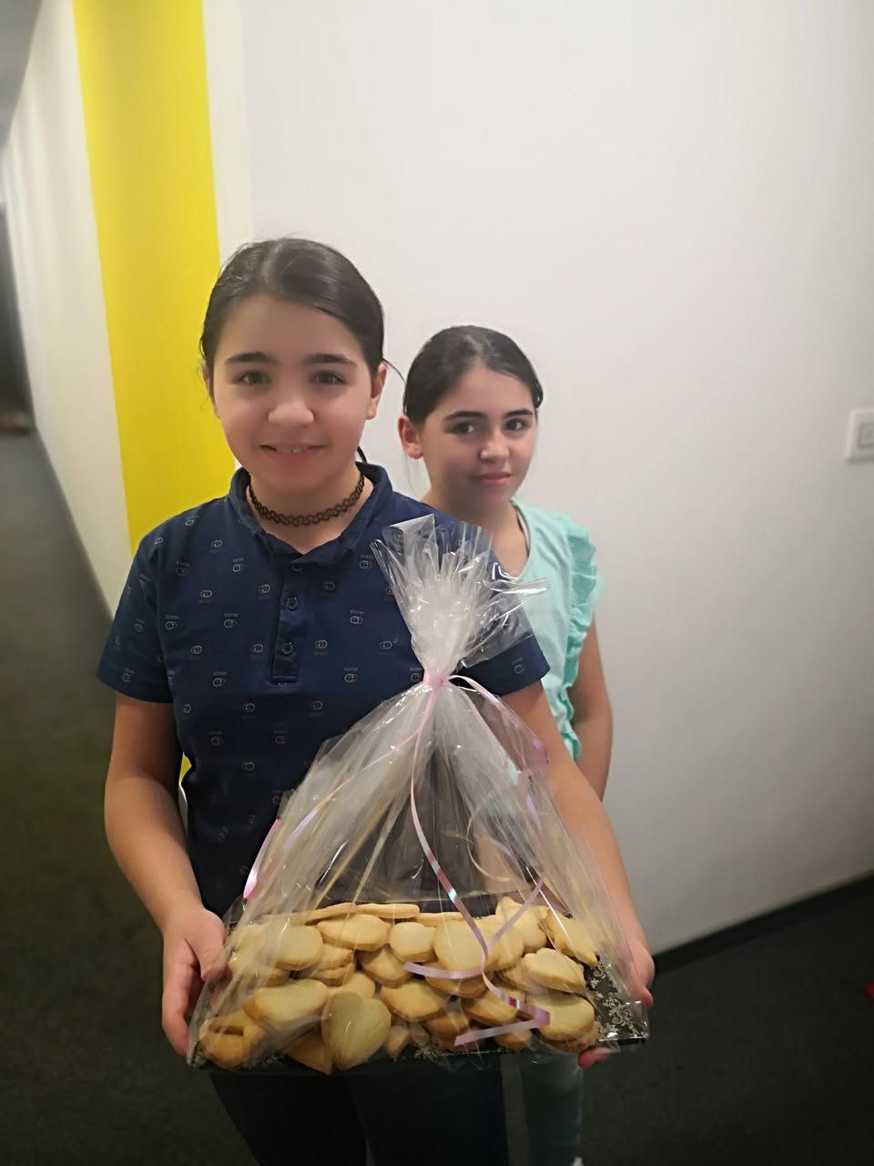 Collecte Solidaire — Strasbourg Action Solidarité