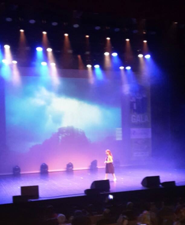 Festival des Langues et des Cultures