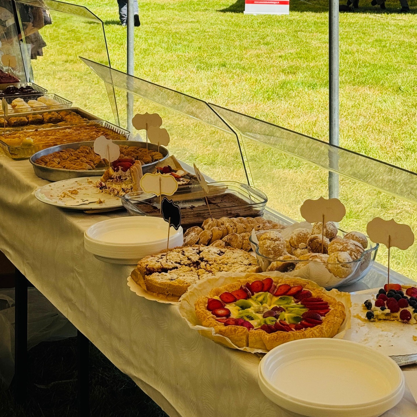 Fête du Printemps 2025