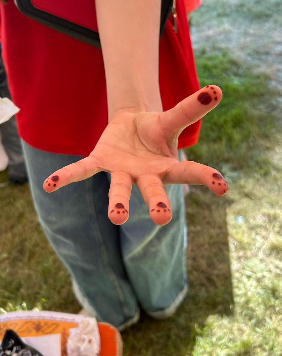 Fête du Printemps 2025