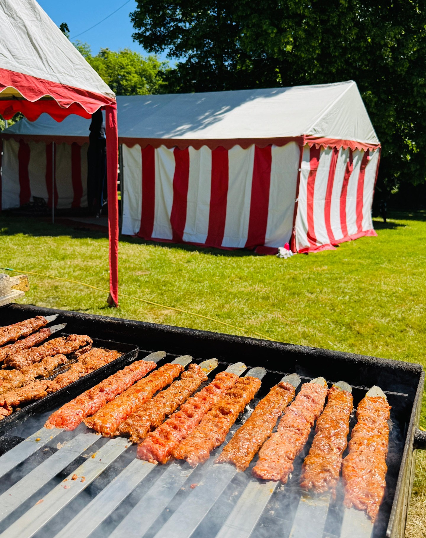 Fête du Printemps 2025