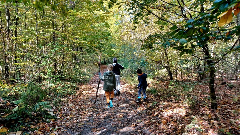 Ramassage de Châtaignes 2021