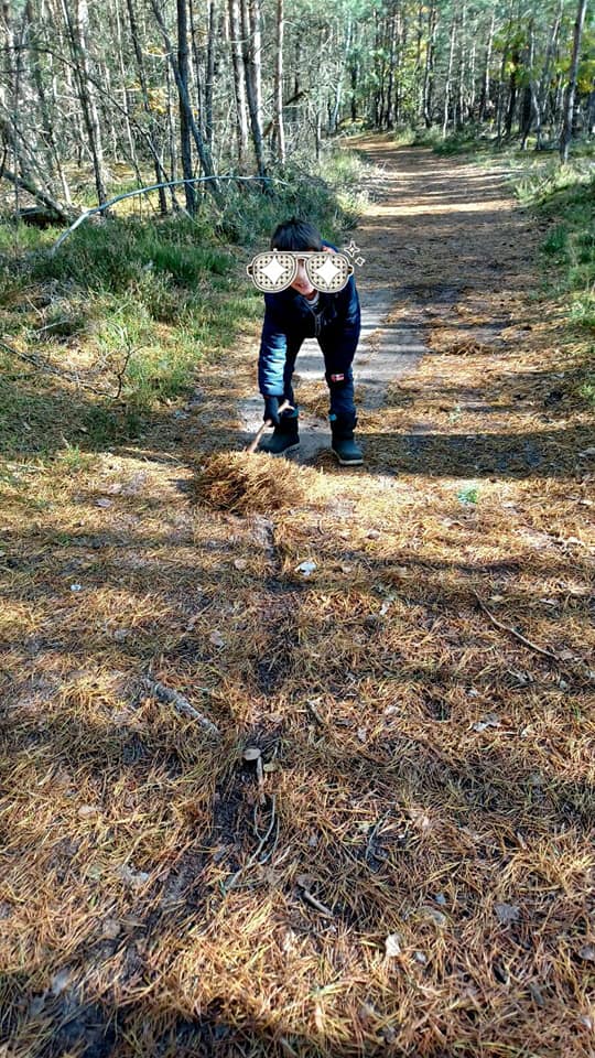 Ramassage de Châtaignes 2021