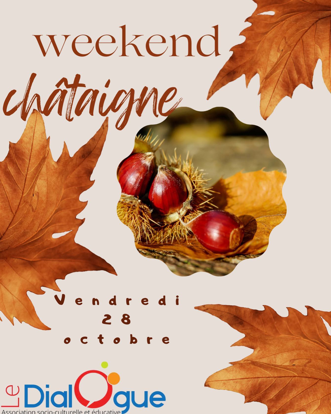 Ramassage de Châtaignes