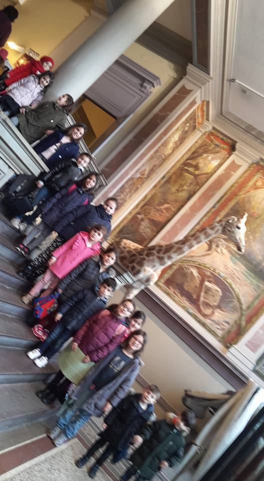 Sortie Musée Zoologique