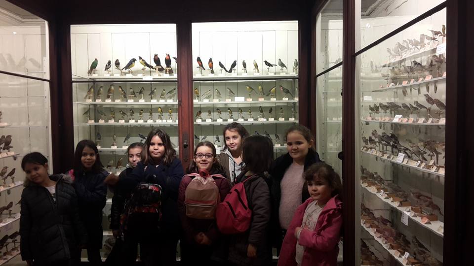 Sortie Musée Zoologique 2018