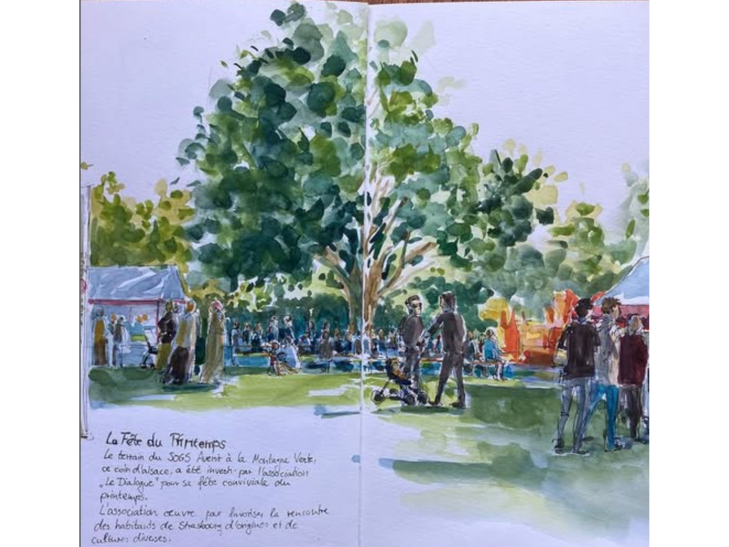 Fêtes de Saison — Watercolor Sketch